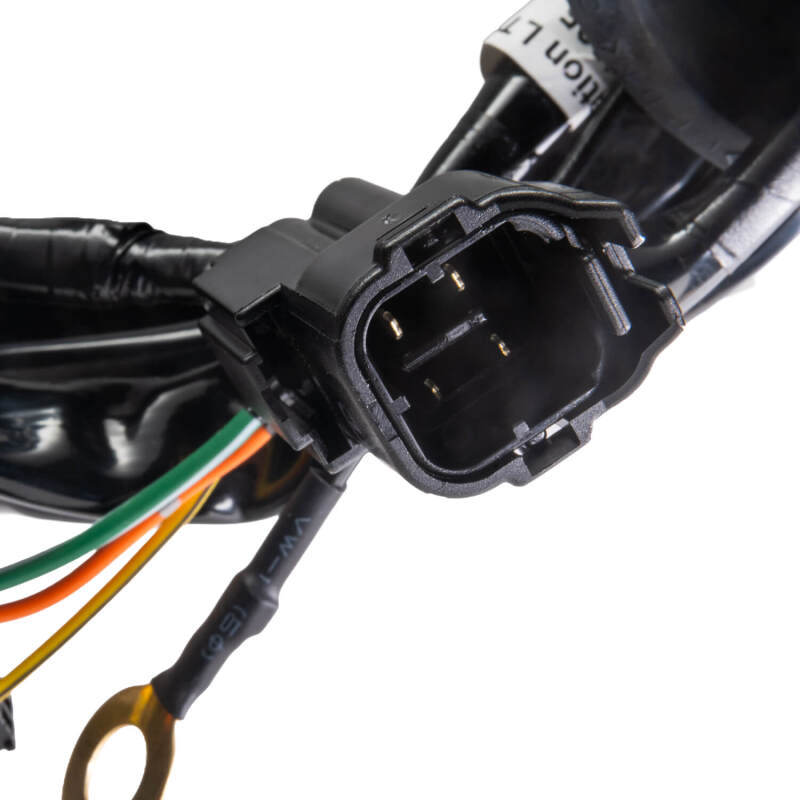 Photo - Close Up