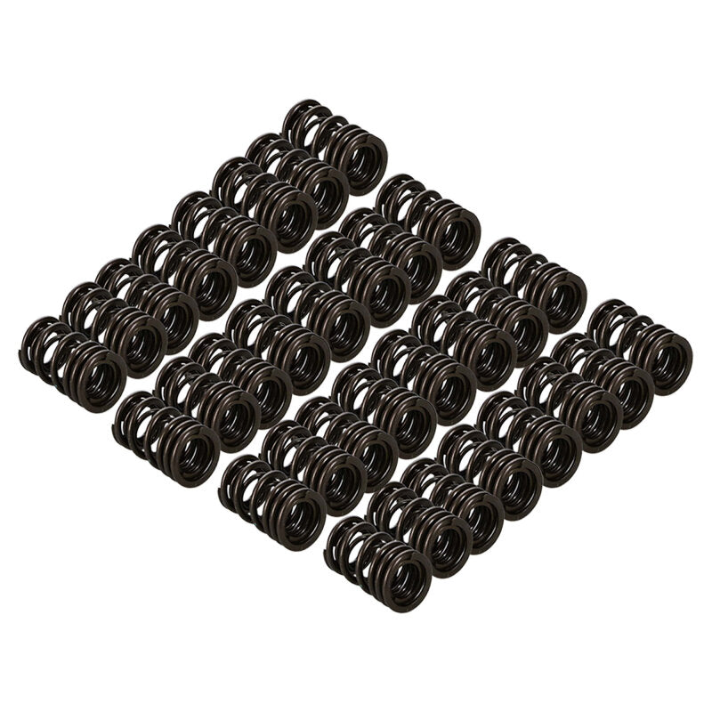 Photo - Close Up