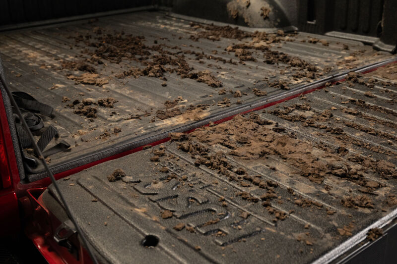 Photo - Close Up