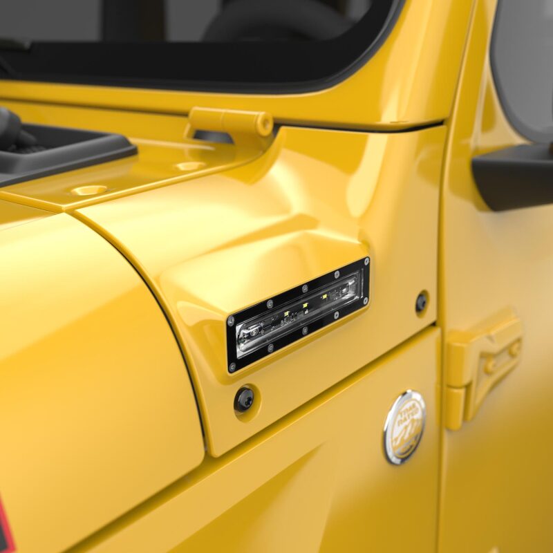 Photo - Close Up